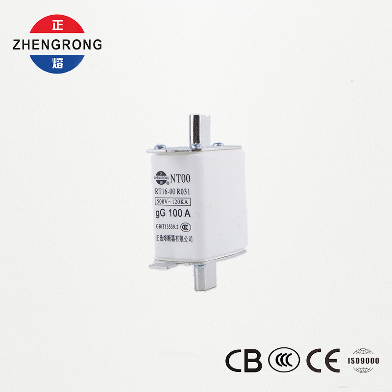 उच्च ब्रेकिंग क्षमता NT00 100A फ्यूज - 500V 120kA सिरेमिक gG फ्यूज लिंक