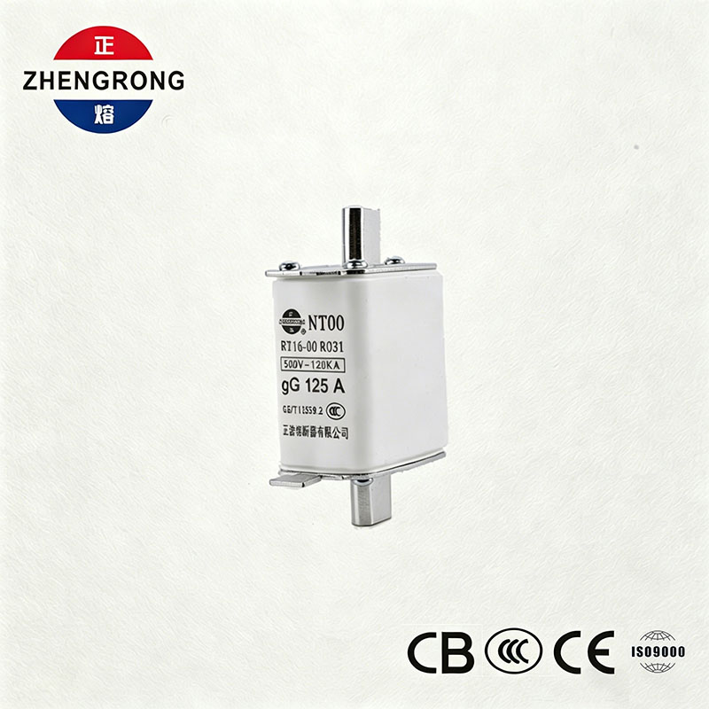 उच्च ब्रेकिंग क्षमता NT00 125A फ्यूज - 500V 120kA सिरेमिक gG फ्यूज लिंक