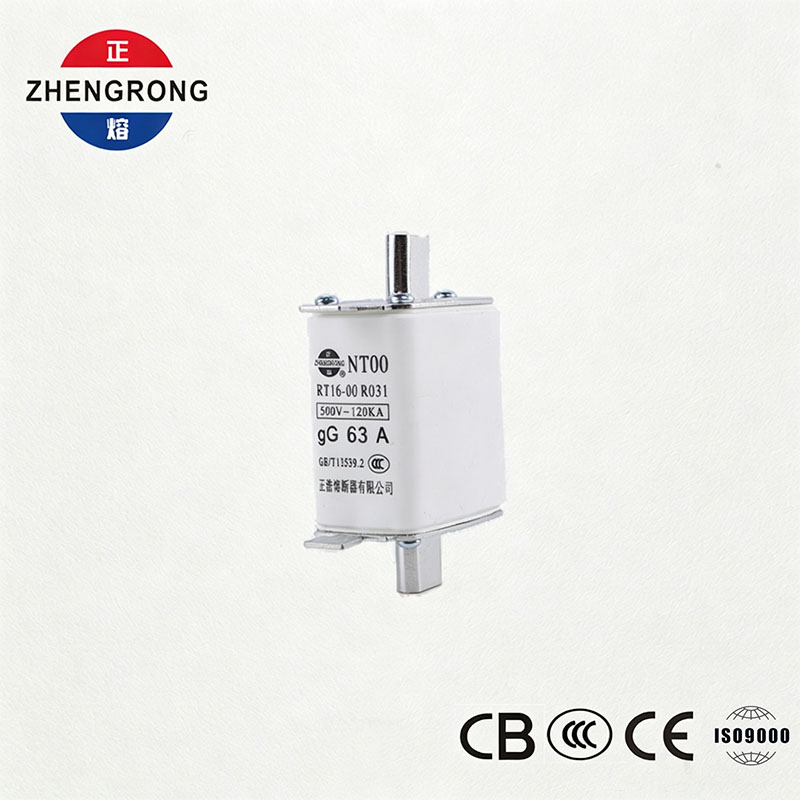 उच्च ब्रेकिंग क्षमता NT00 63A फ्यूज - 500V 120kA सिरेमिक gG फ्यूज लिंक
