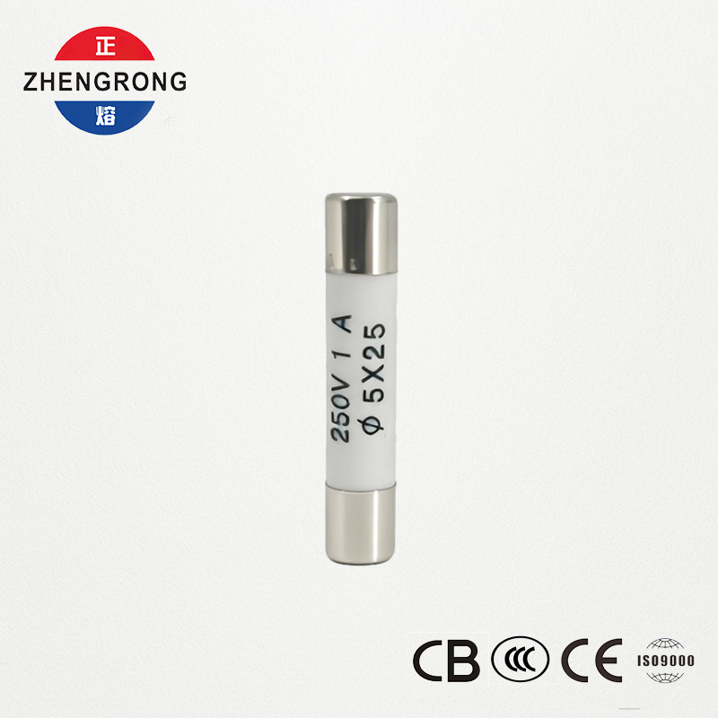 घाऊक खरेदीदारांसाठी उच्च-गुणवत्तेचे 5x25mm R055 1A फ्यूज