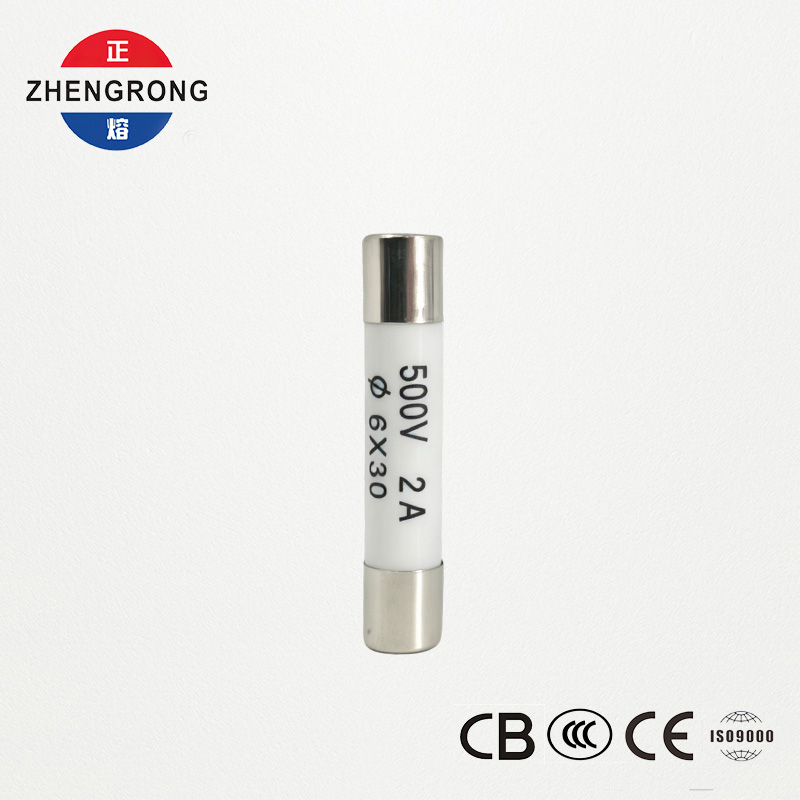 आंतरराष्ट्रीय वितरकांसाठी उच्च-गुणवत्तेचे 6*30mm R058 फ्यूज 2A
